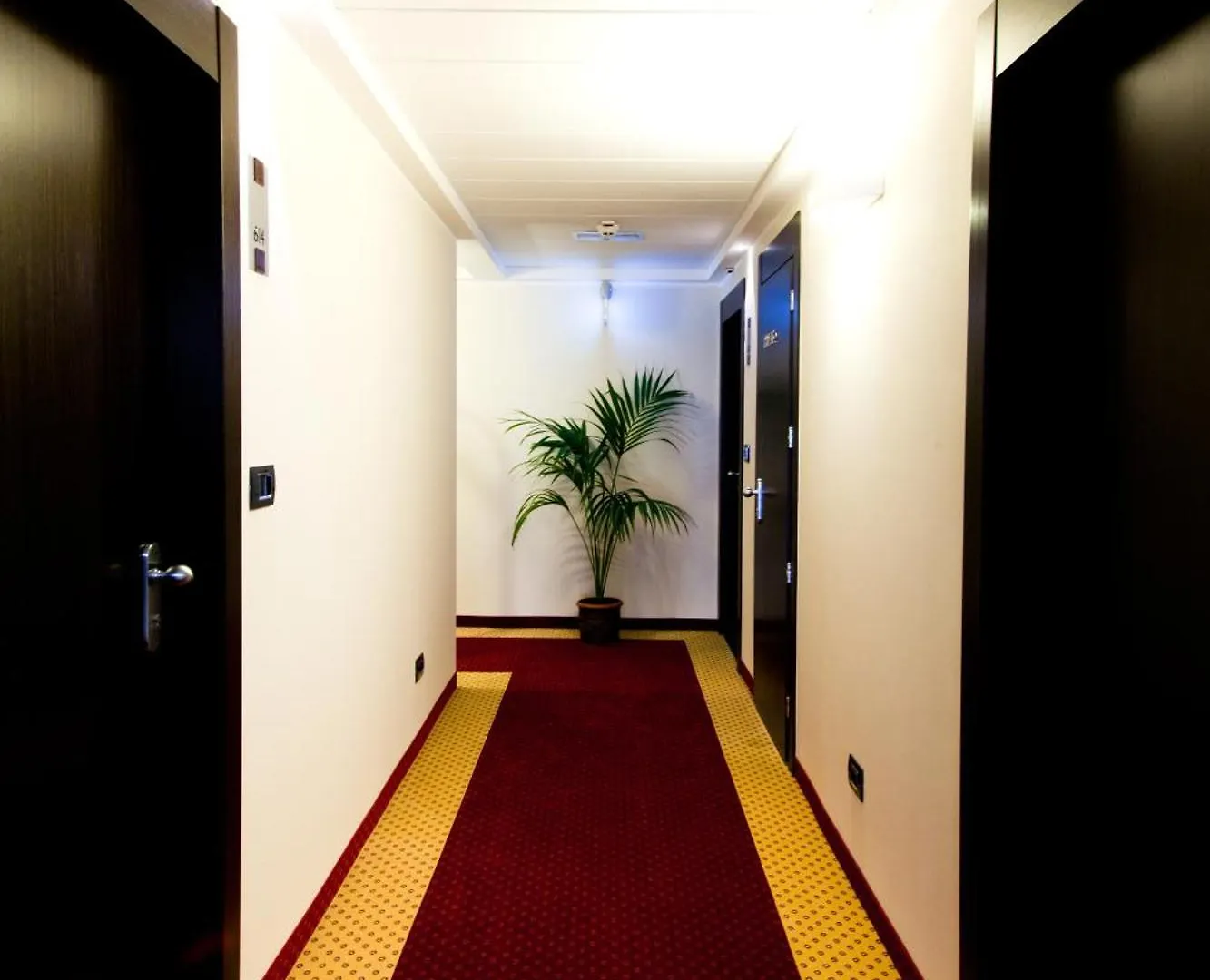 Terminal Palace & Spa Rimini Hotel